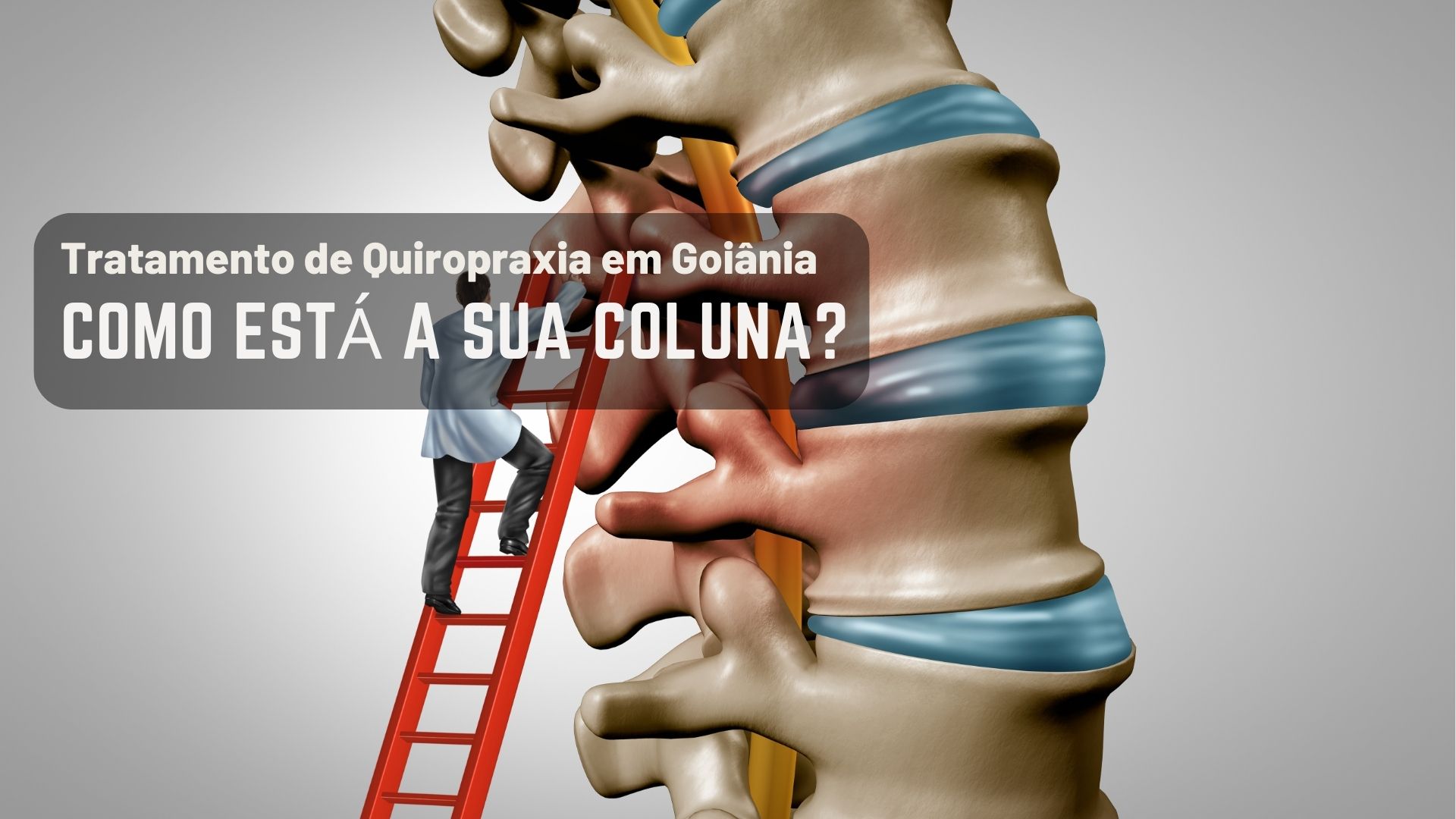 Coluna Colombo Como está a sua coluna? - Quiropraxia em Goiânia