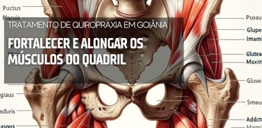 Músculos do Quadril 2024 Tratamento de Quiropraxia em Goiânia